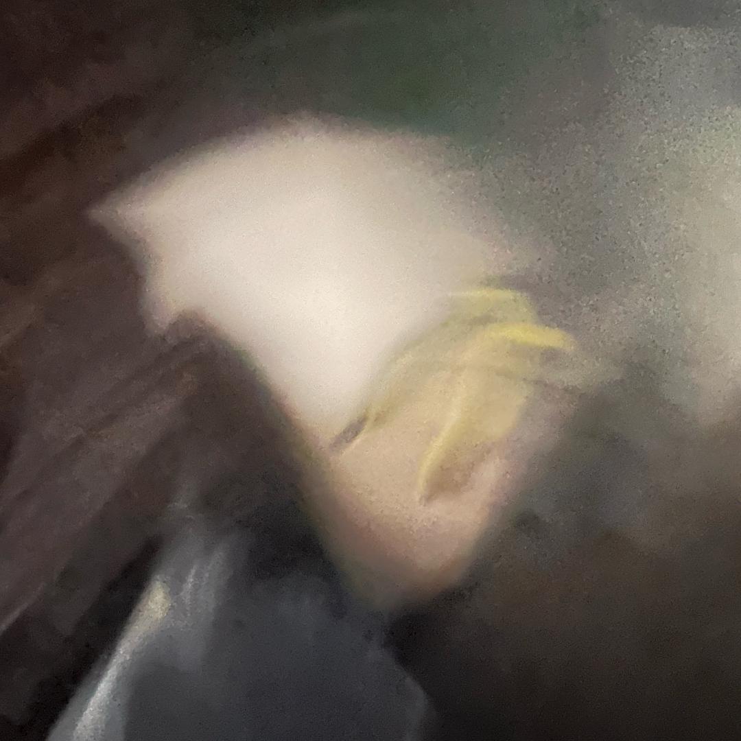 黑紫.