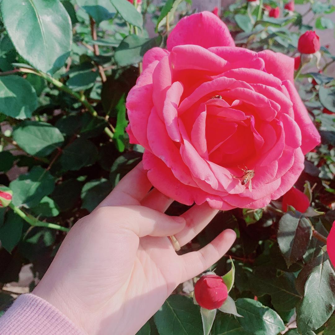 好『俊』的妈妈♥️