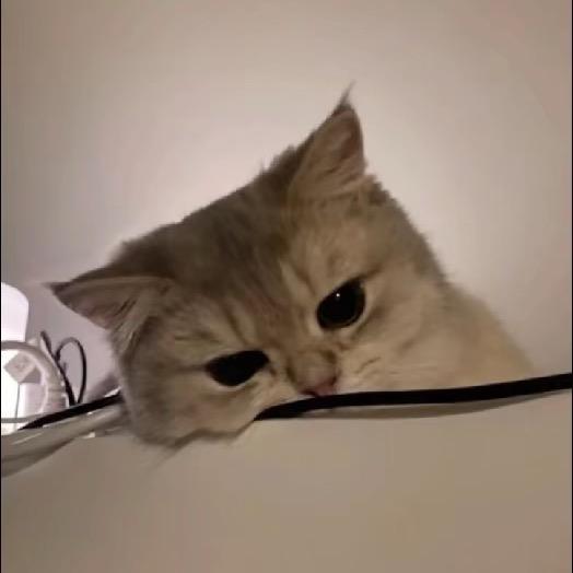 氵