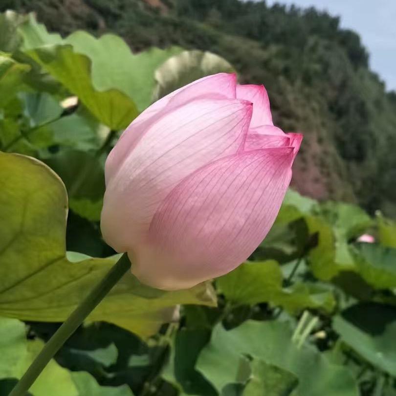 @皓皓麻麻（好物分享）