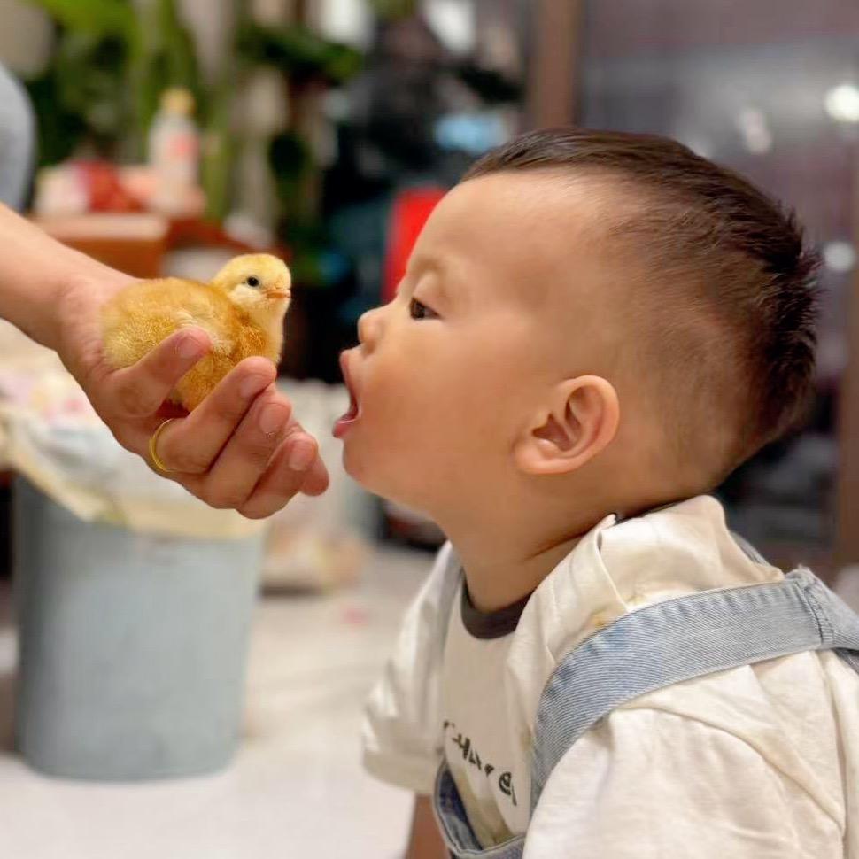 李酷酷
