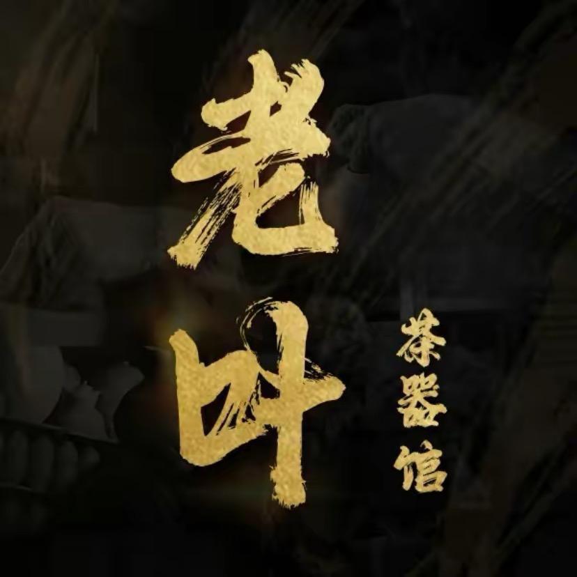 爱打DOTA的老叶