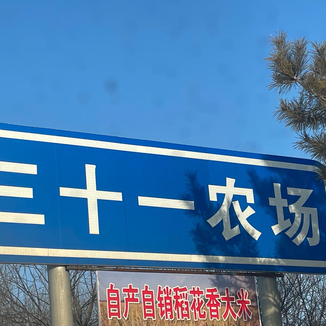 五常大米的搬运工