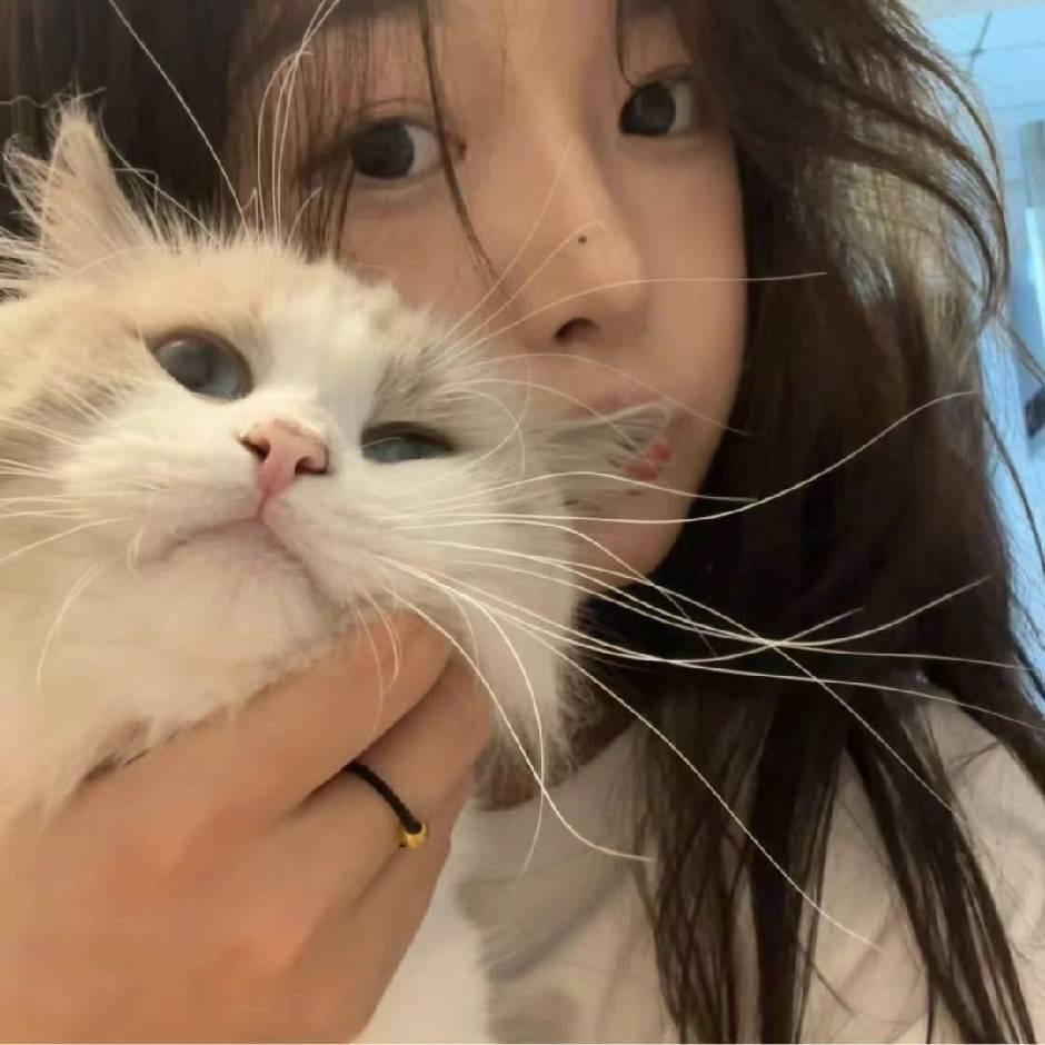煮个亚蛋