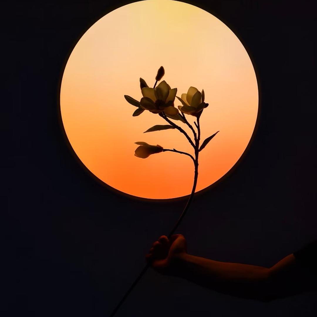 利川市欧普照明