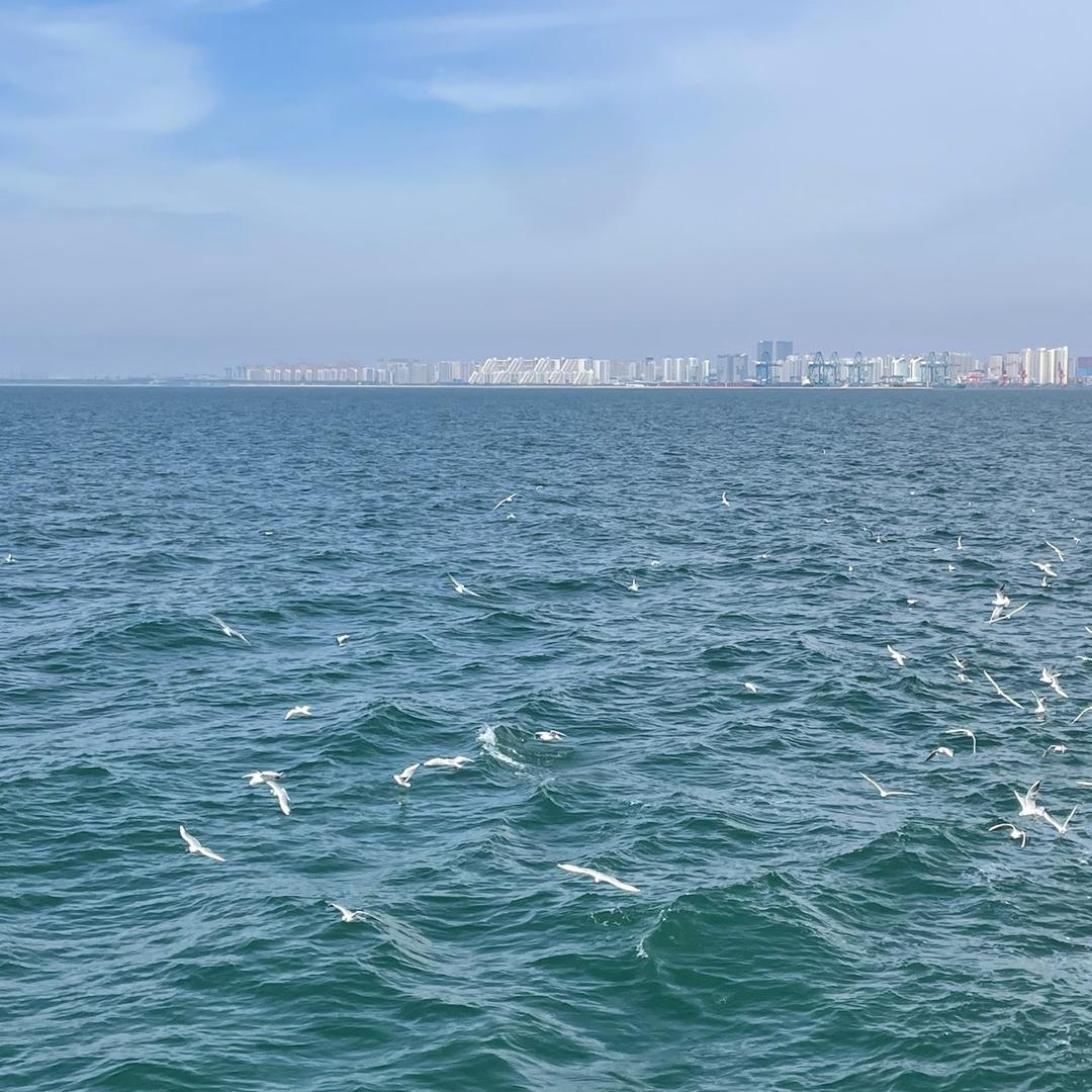 《 玉中颜 》伴