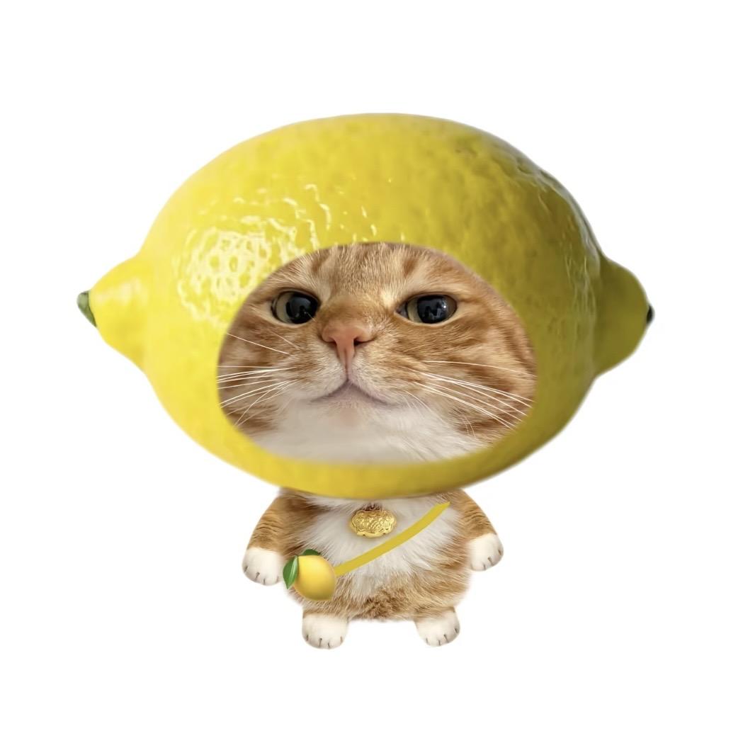 泪痕