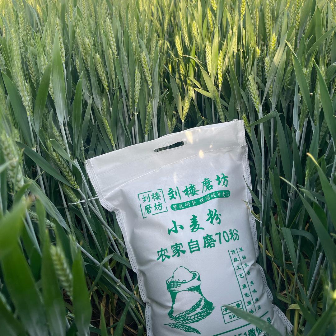 一江春水