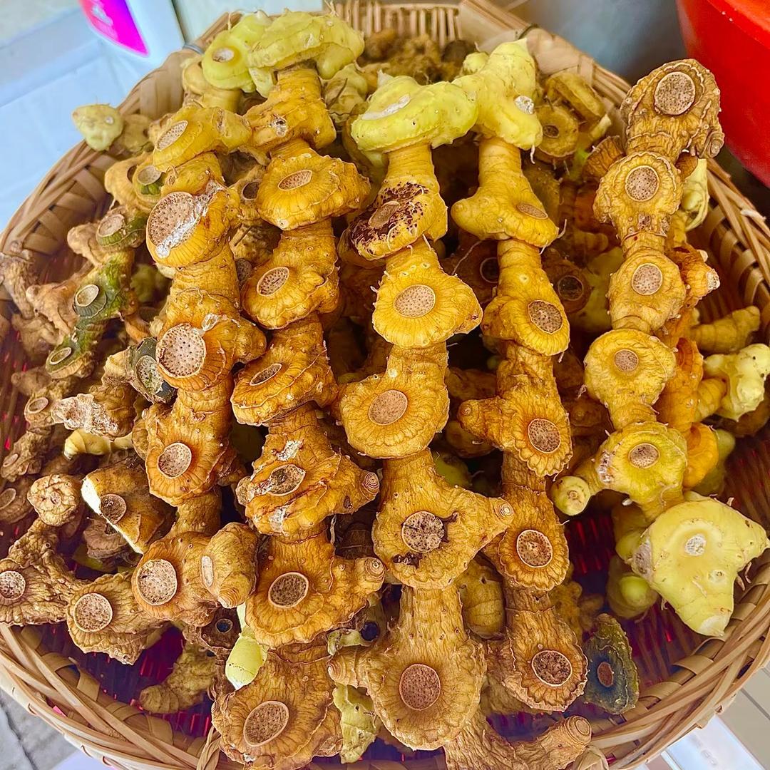 阿鹏寻百草