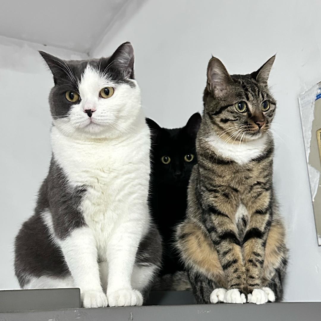 文轩的农🐈‍⬛