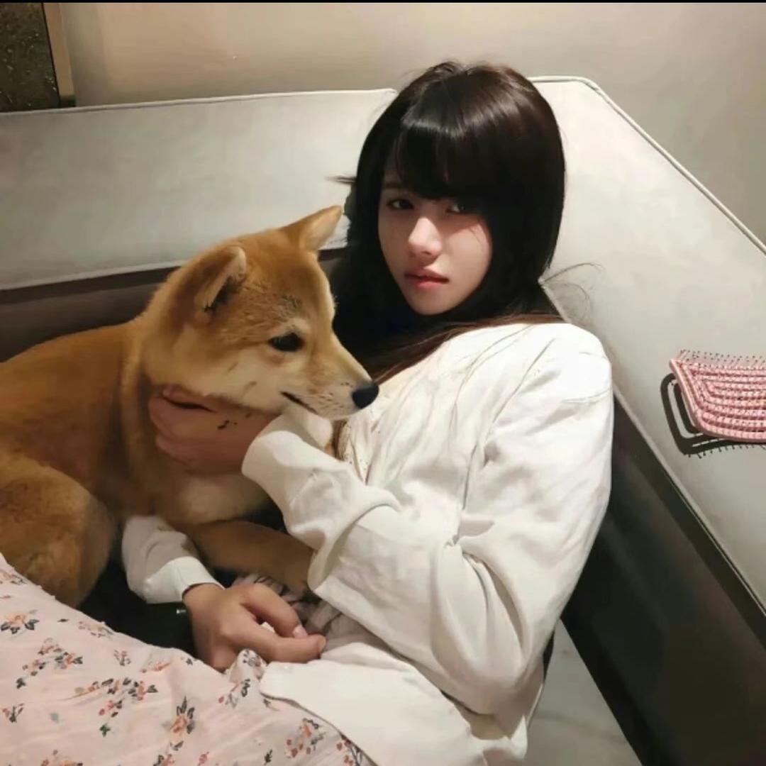 哼不和利好了