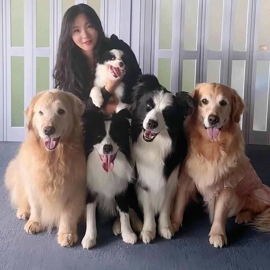 边牧艾北北～小小北老四