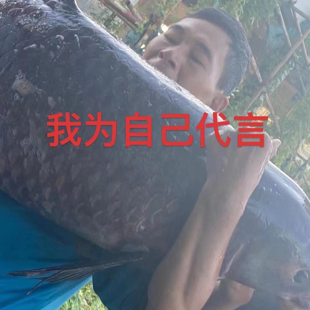 荒野钓神