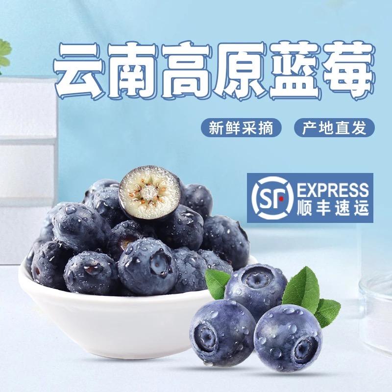 春风臻选蓝莓