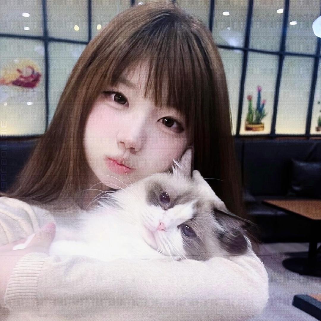 添小赌
