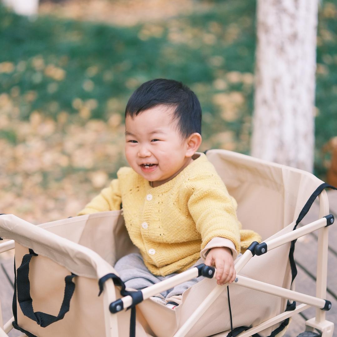 呼呼屁屁的脸哥