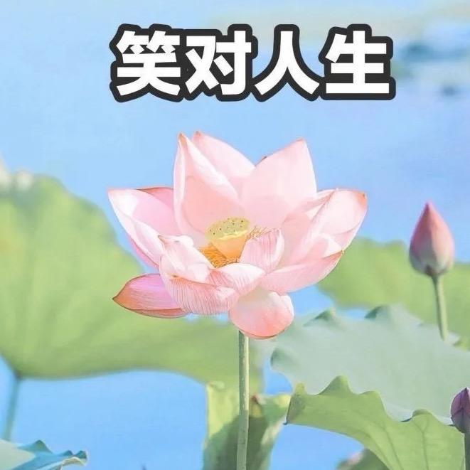 孤独的狼1987