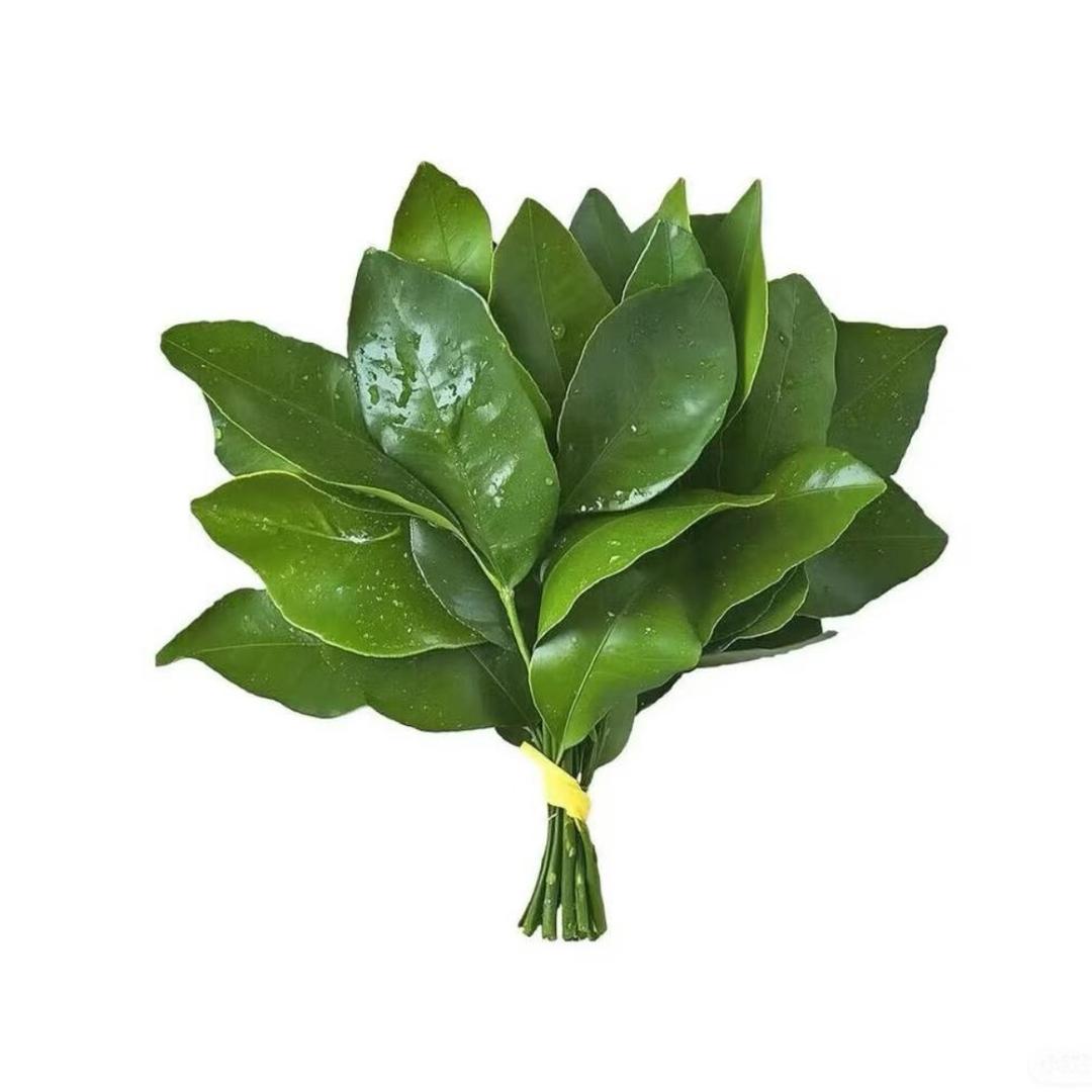 宁宁