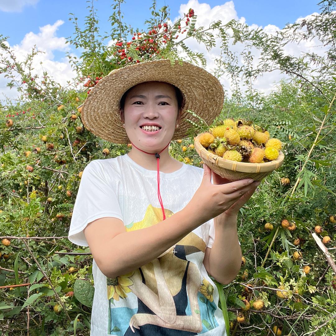 小鱼在家乡
