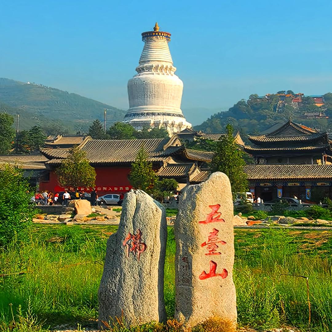 五台山芊羽