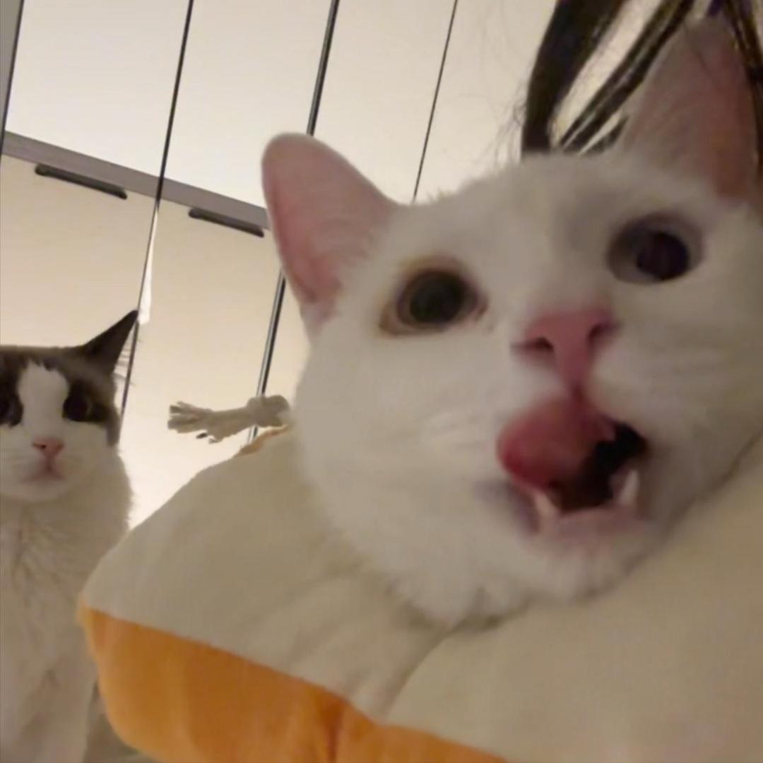 W..y