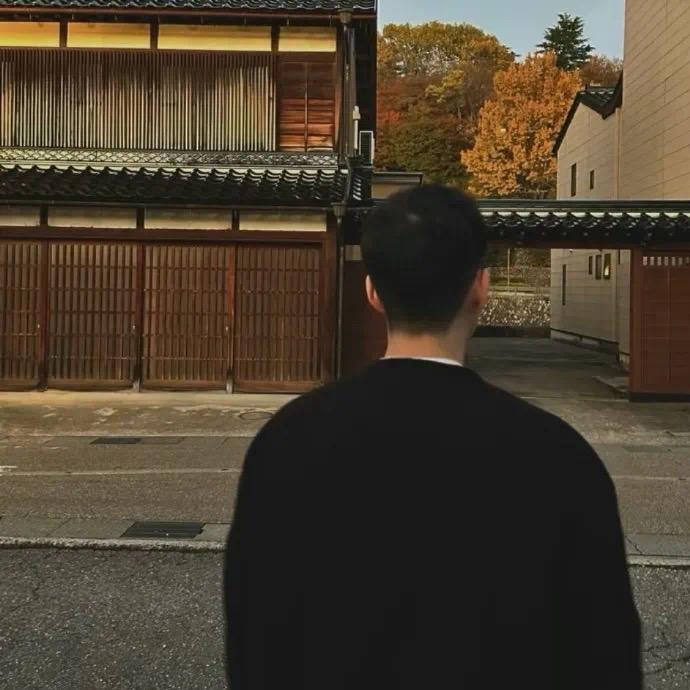 黎蒿