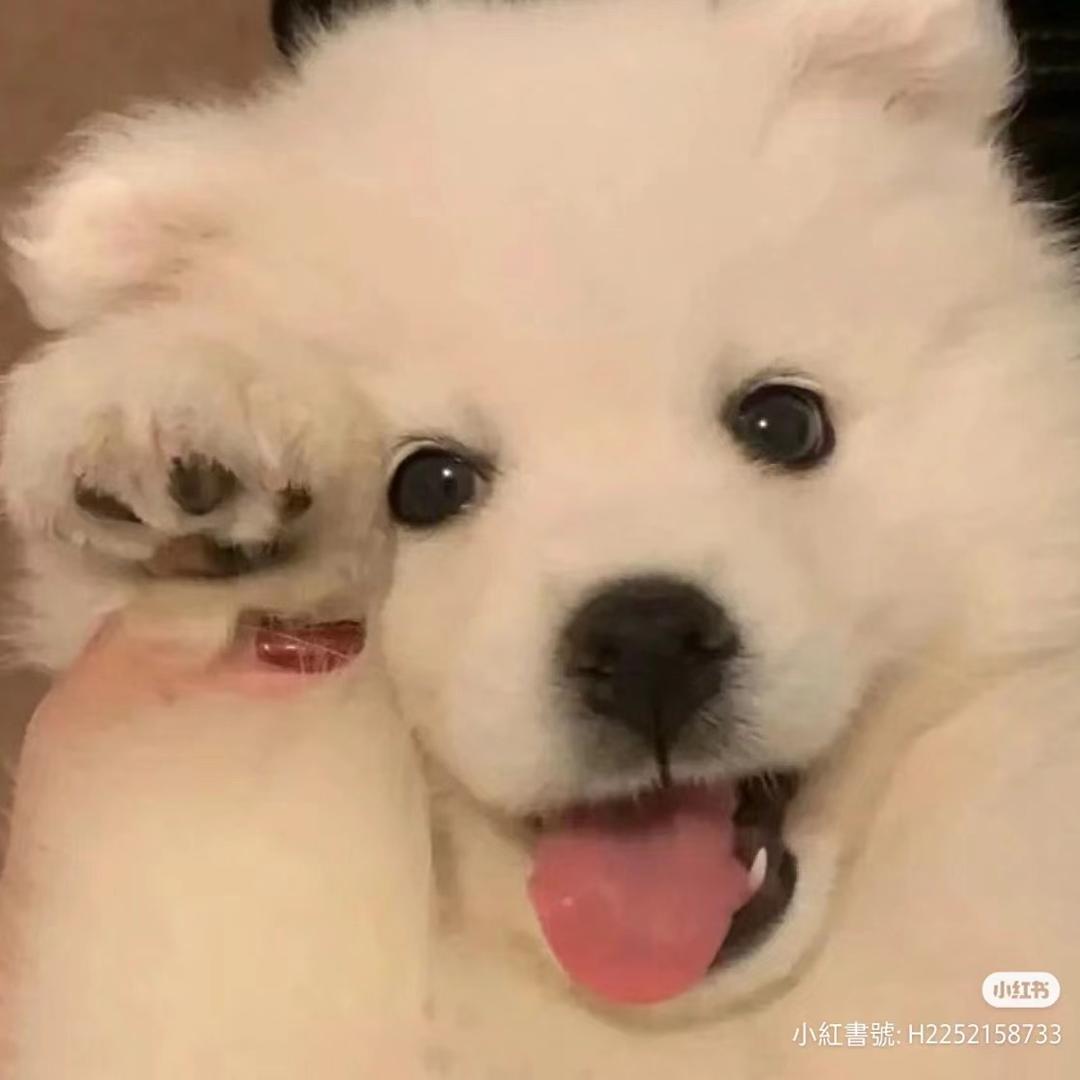 子逸（逆水寒手游）