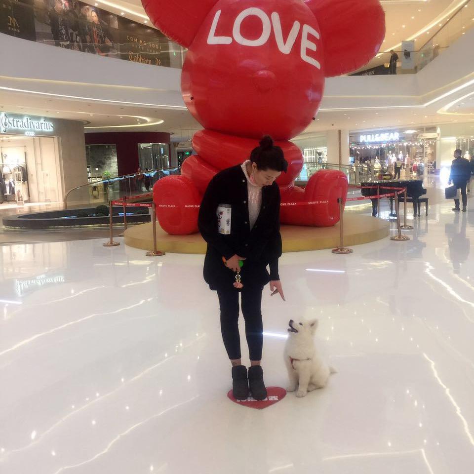 杨闲人🖤（开车版）