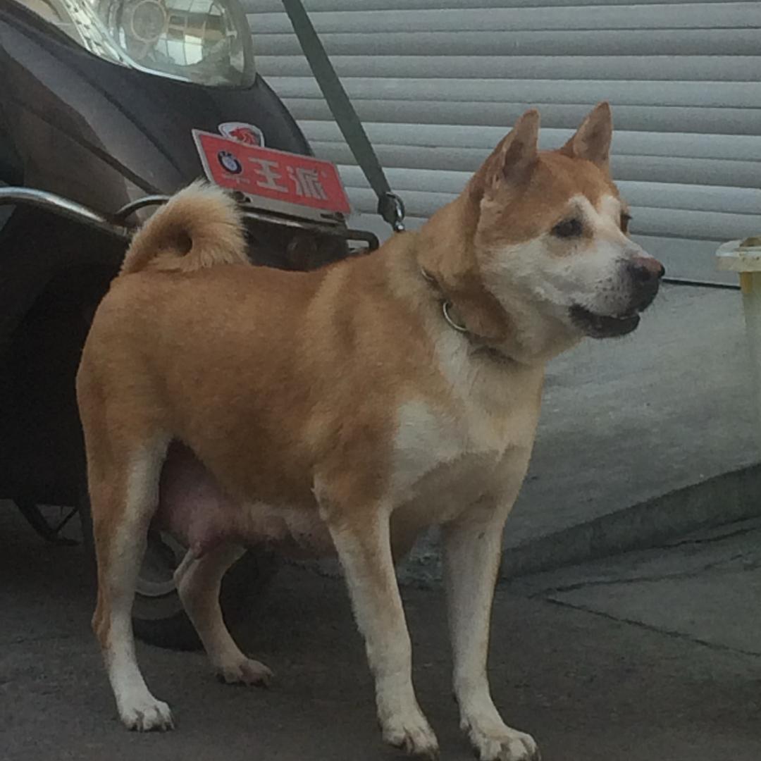 风