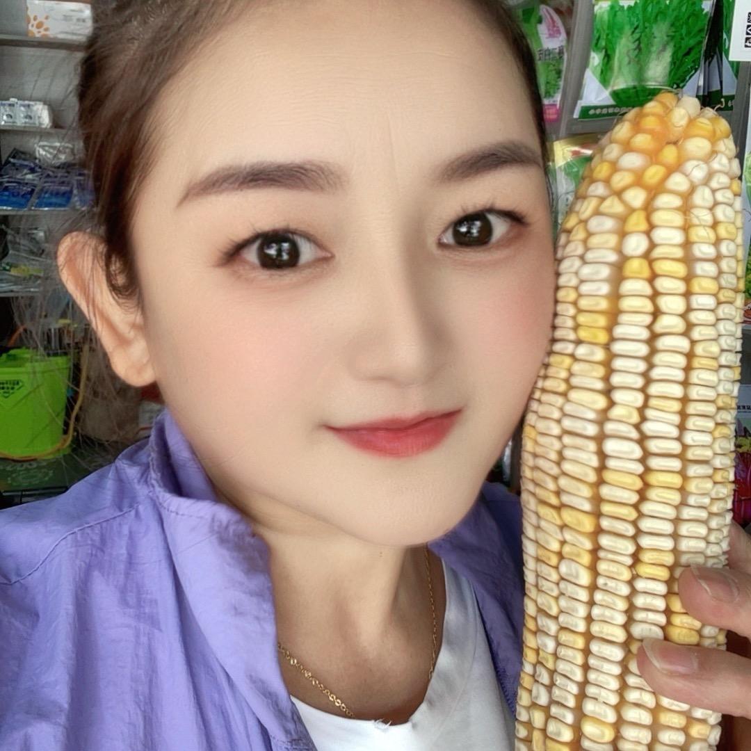 🌻春🌾天🌽