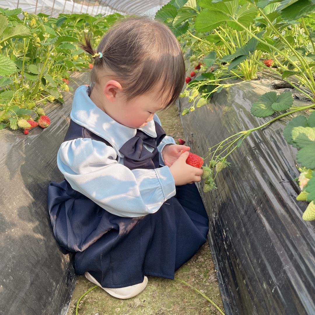 爱吃草莓的严严