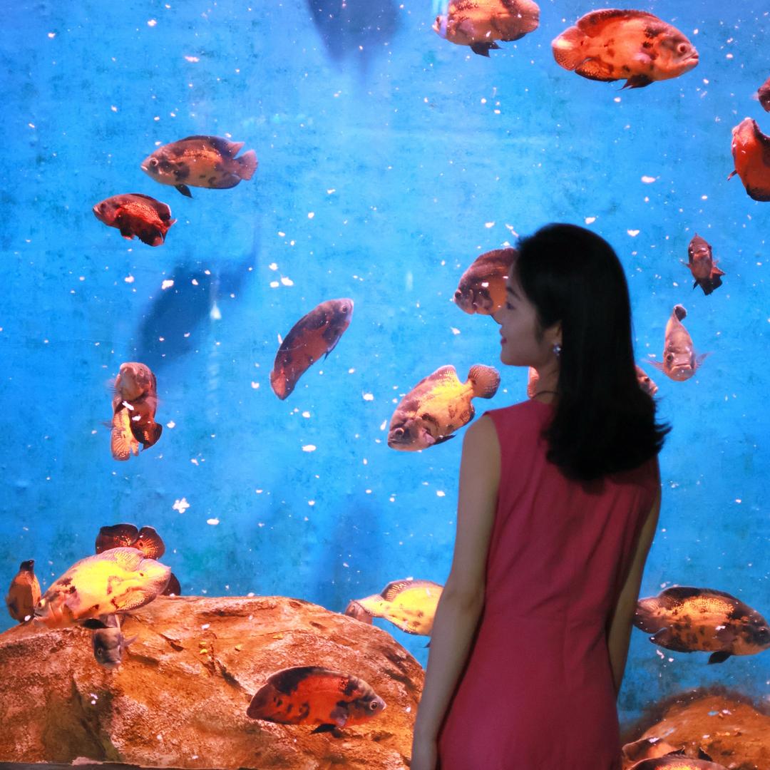 小王同学的许愿屋