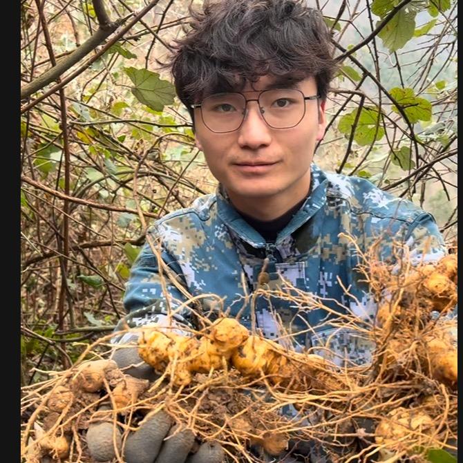 青山阿云（山货）