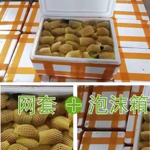 桂林泡沫箱厂、桂林网套厂支持定做各类规格