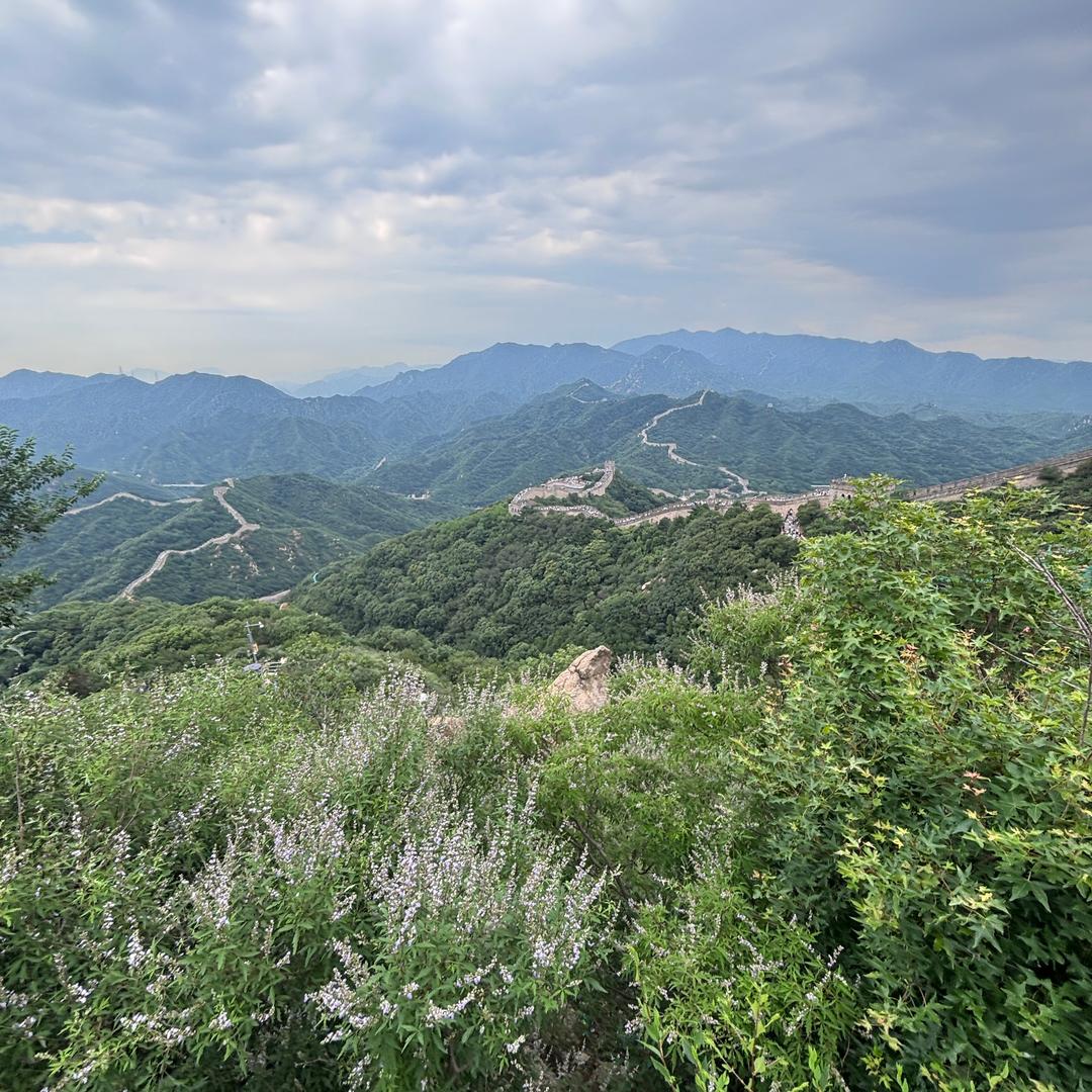 可爱的你