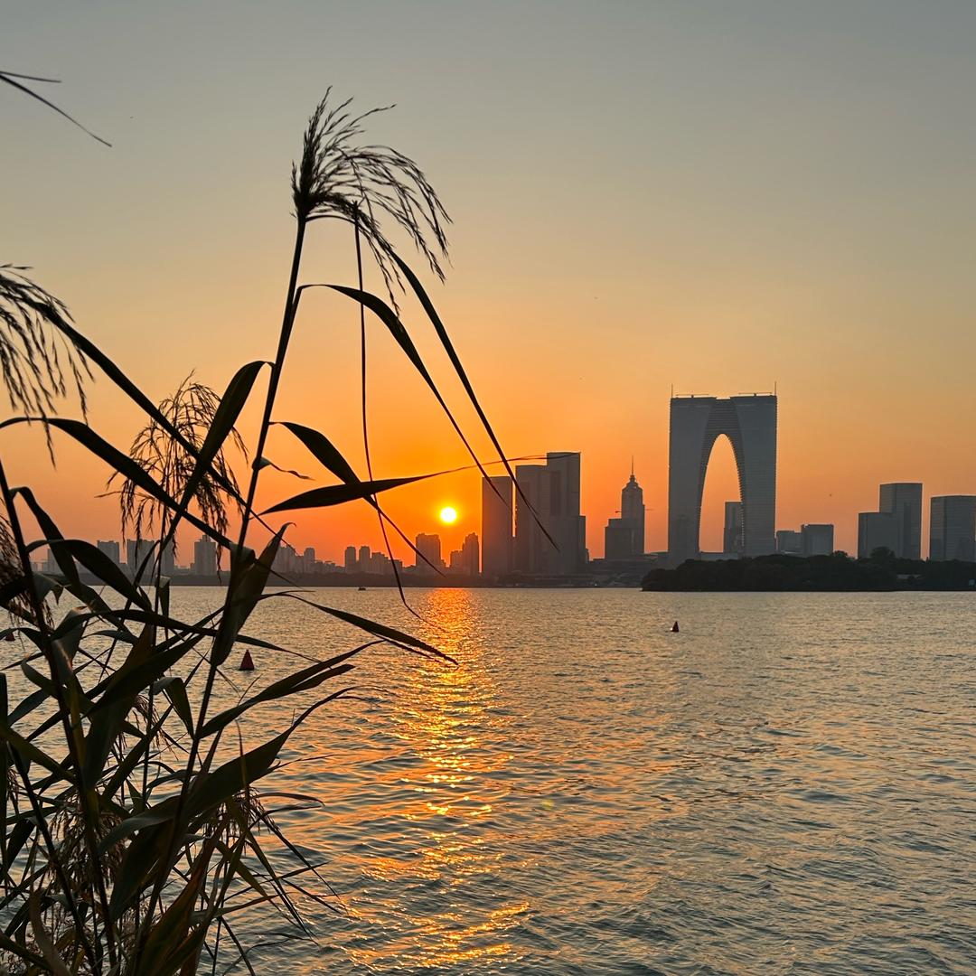 我们一起抓螃蟹🦀