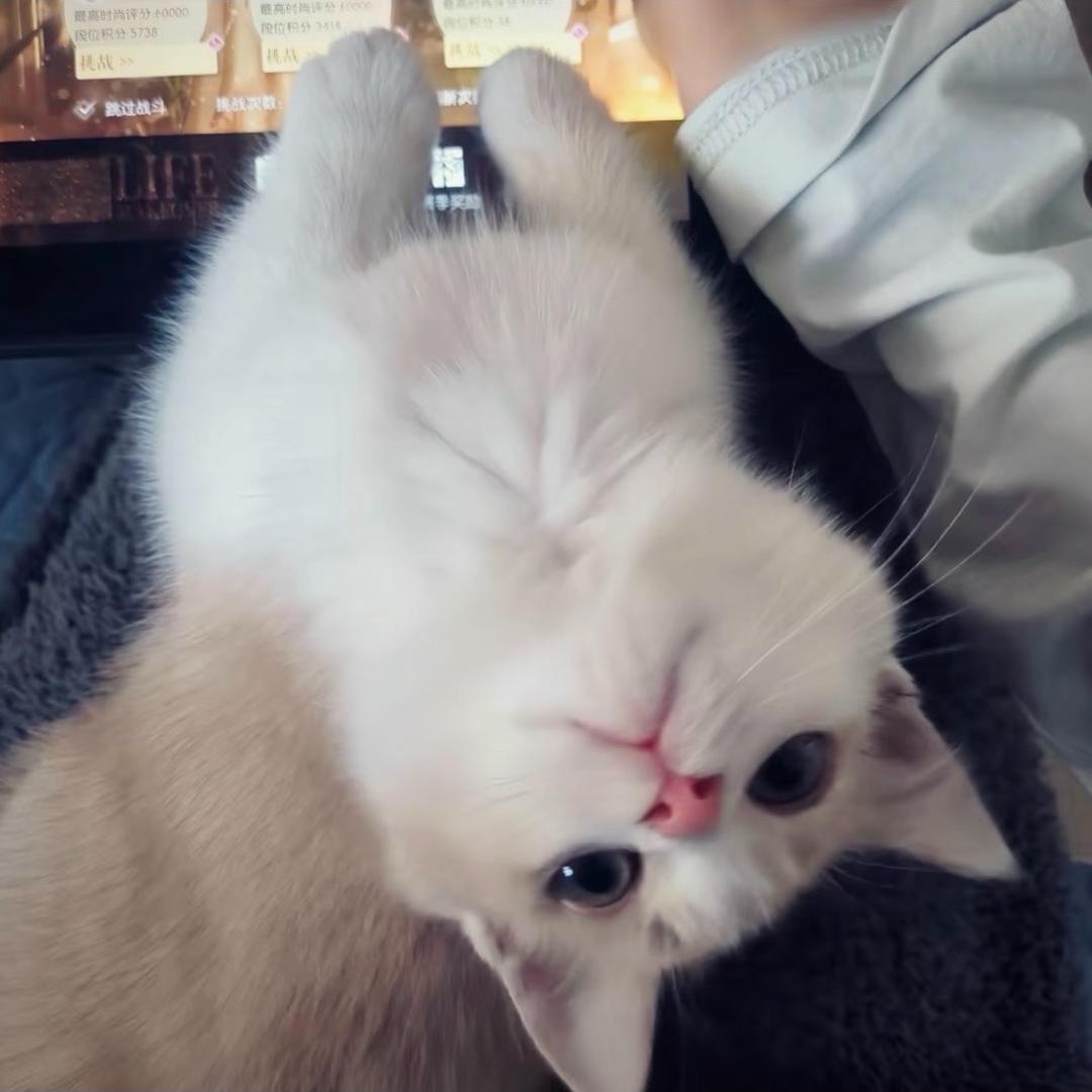 玉米排骨汤