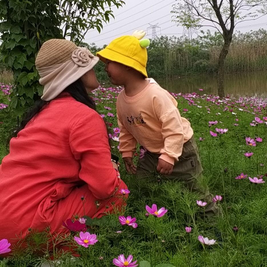 月是那么凄美
