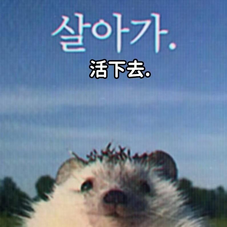 球球🪐（哭版）