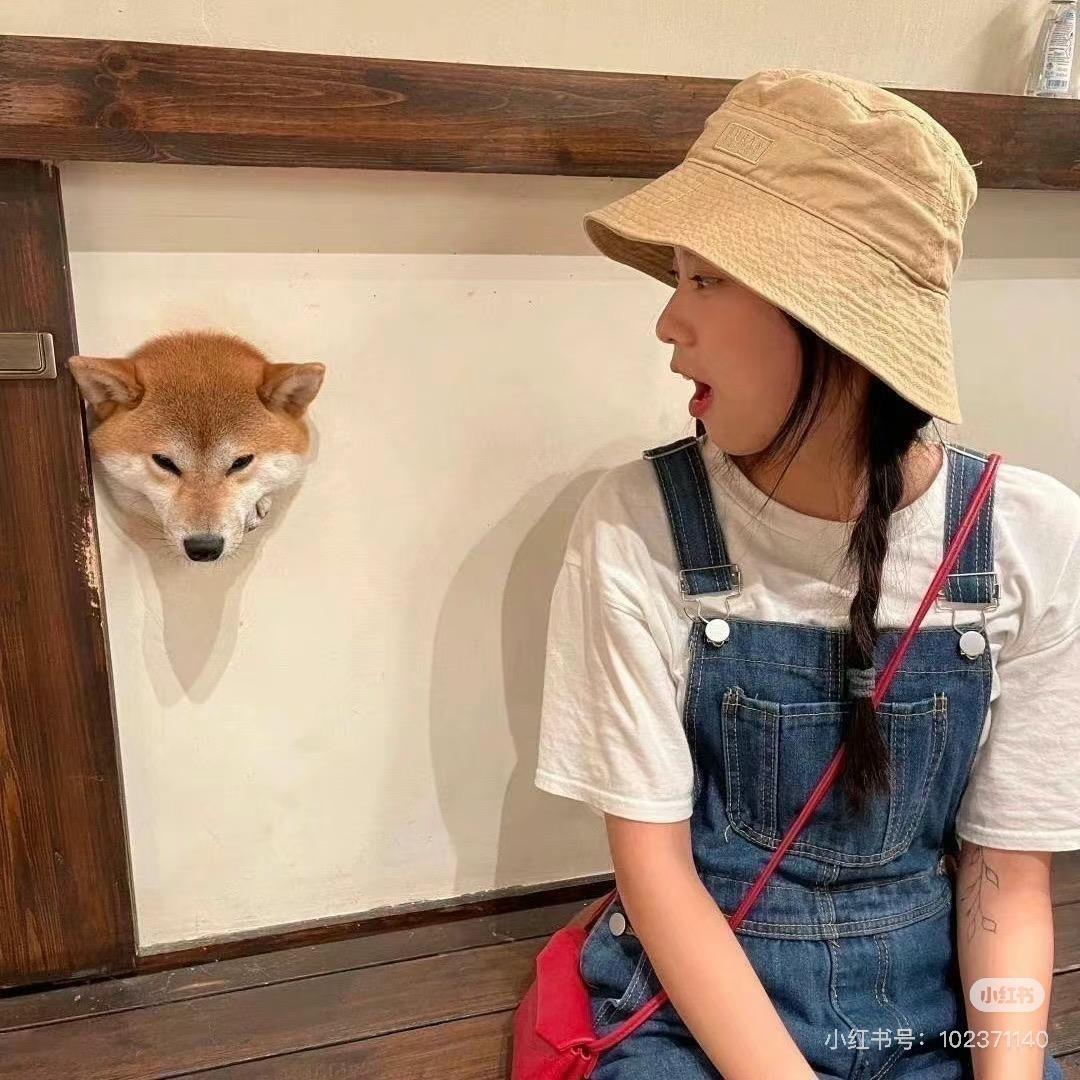 小Y日记🫐