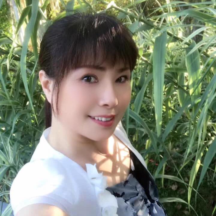 暗香疏影