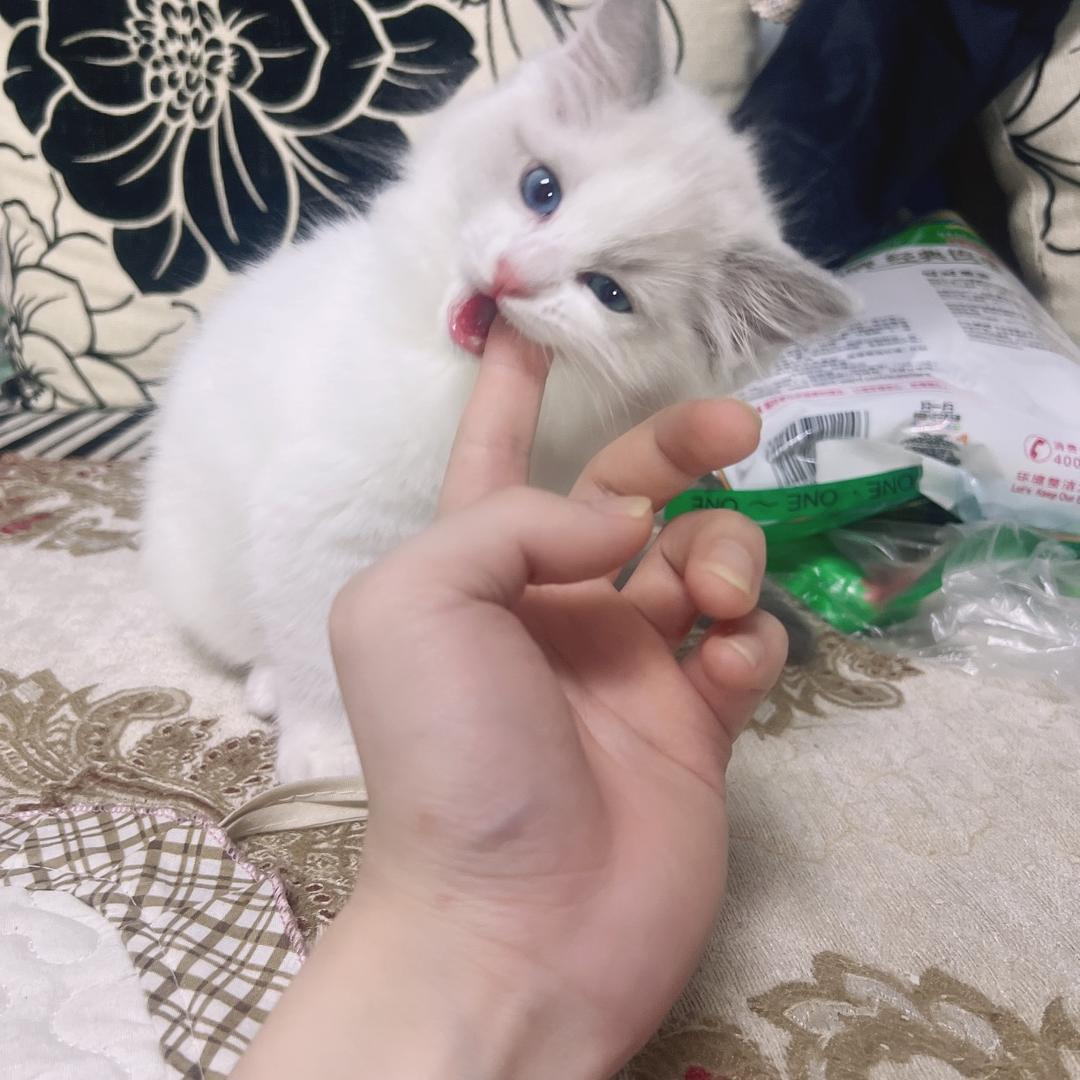 我叫没长心