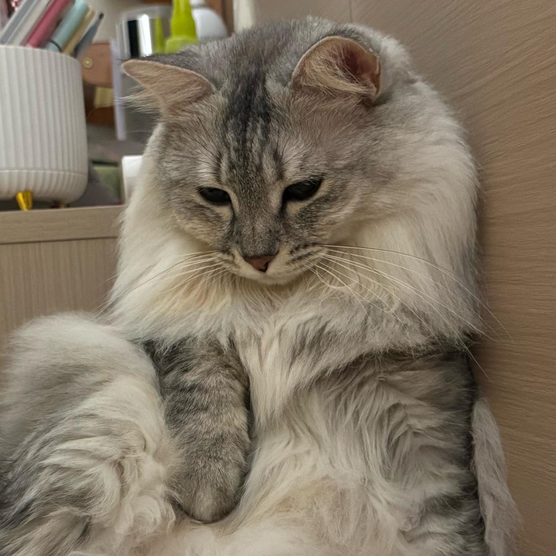 真是太好吃了