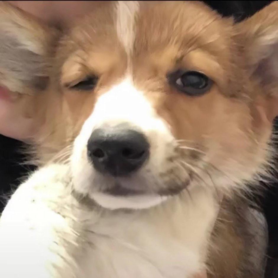 赴约.