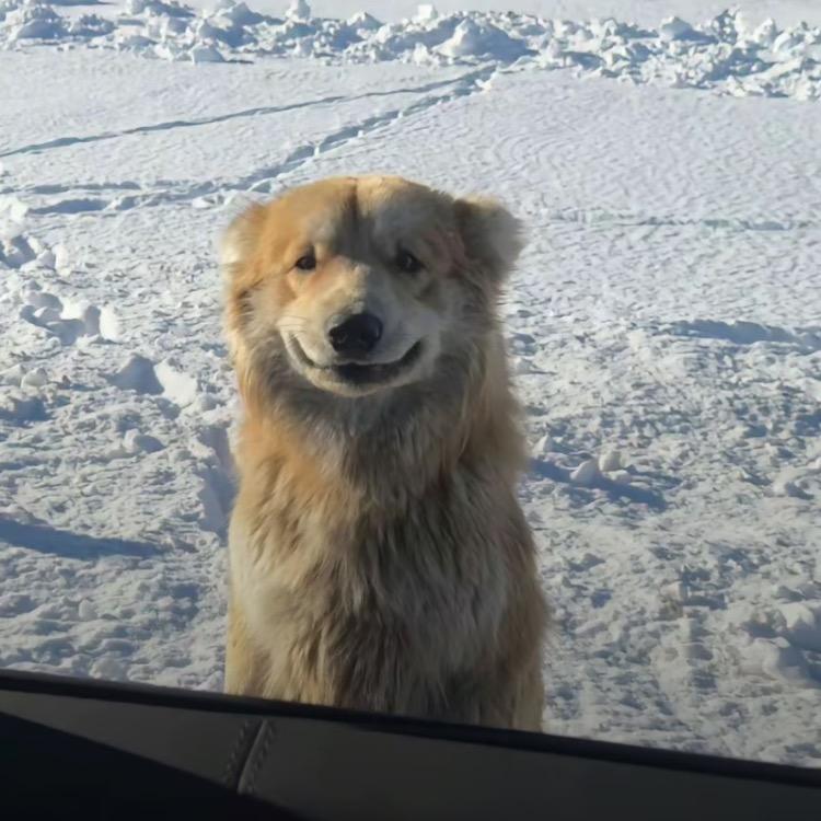 ꦿ小兔叽短剧@抖音