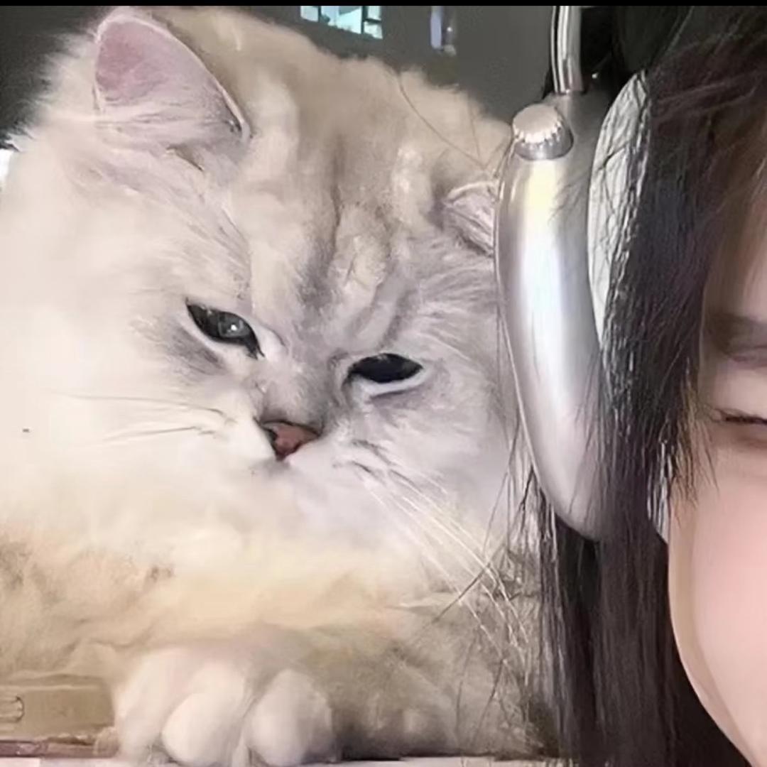 左通钢