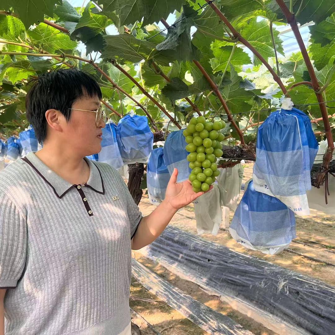 瑞庐香优质农产品-产地直供