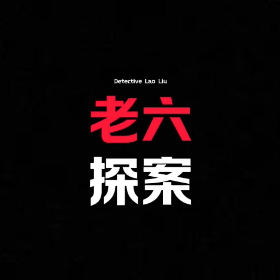 老六探案