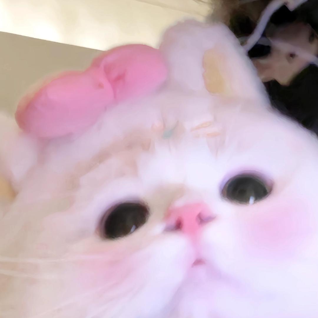 大米不吃糖🍭