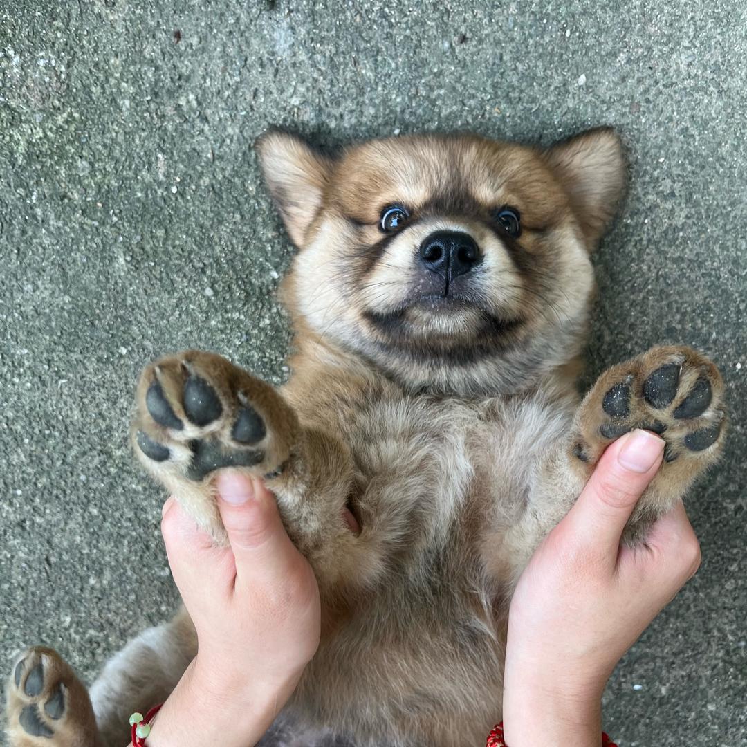 多喝水